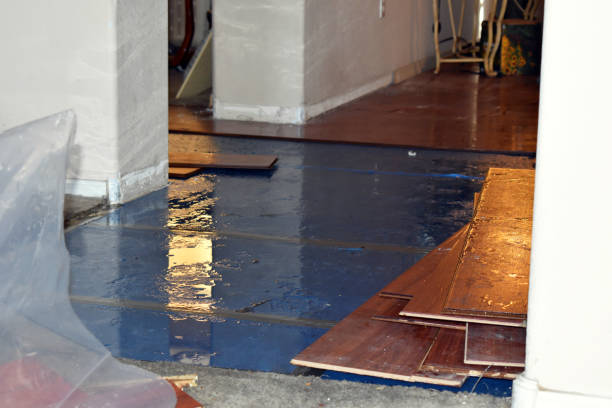 Professional Burst Pipe Water Damage technician working in Mount Victory, OH